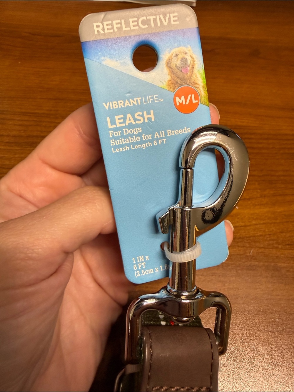 Vibrant Reflective Brown Dog Leash with Silver Clip - M/L